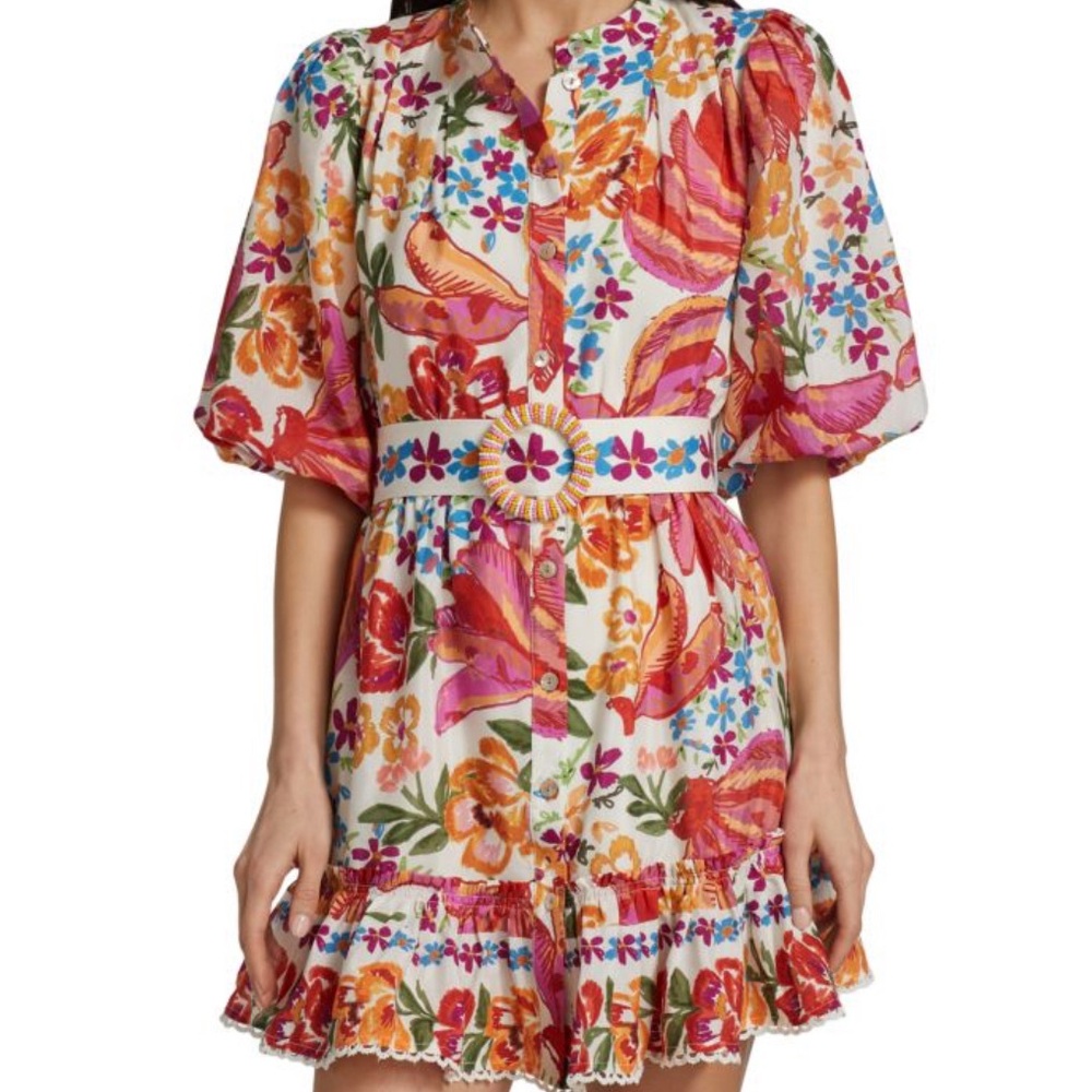 Farm Rio Spring Bananas Dress